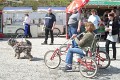 image_05Bea_06