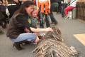 image_08Bea_09