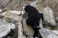 image_28B_13