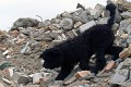 image_31B_14