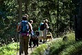 image_05_DSC0050