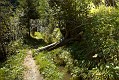 image_07_DSC0056
