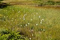 image_12_DSC0061