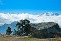 image_15_DSC0129