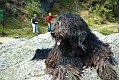 image_16_DSC0131