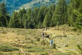 image_17_DSC0141