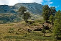 image_18_DSC0154