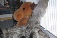 image_07_108_0854