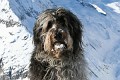 image_11_IMG_5486-2