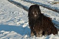 image_24__DSC0029