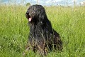 image_25__DSC0028