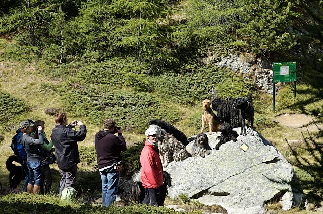 buerchen 2011-0178