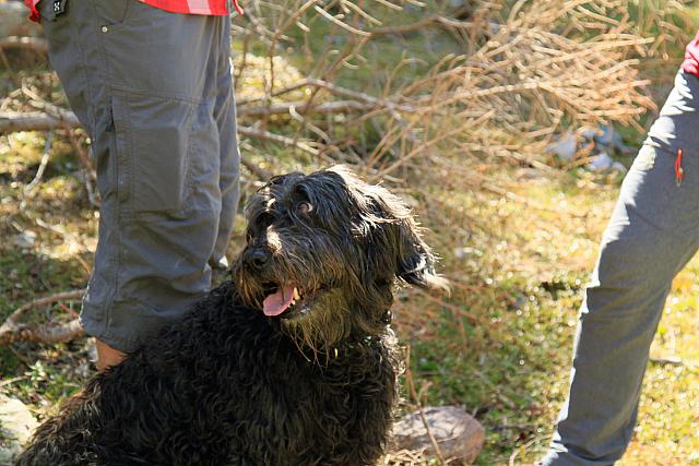 IMG 7819