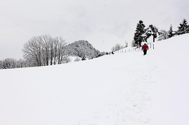 IMG 4533