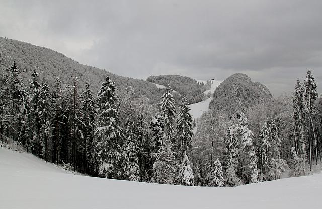 IMG 5149 (1800x1167)