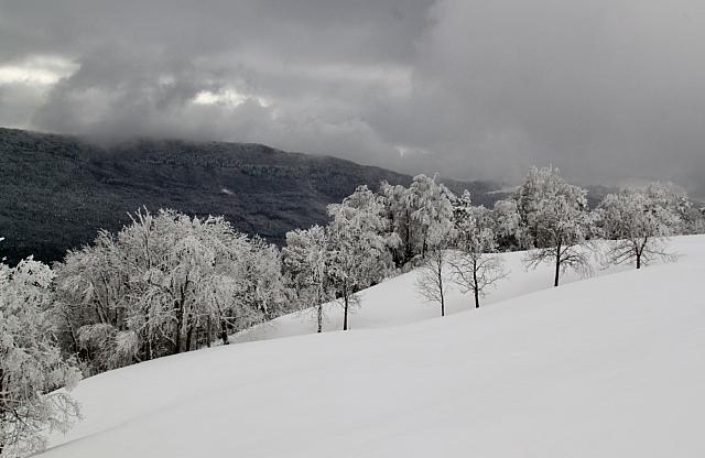 IMG 5153 (1800x1169)