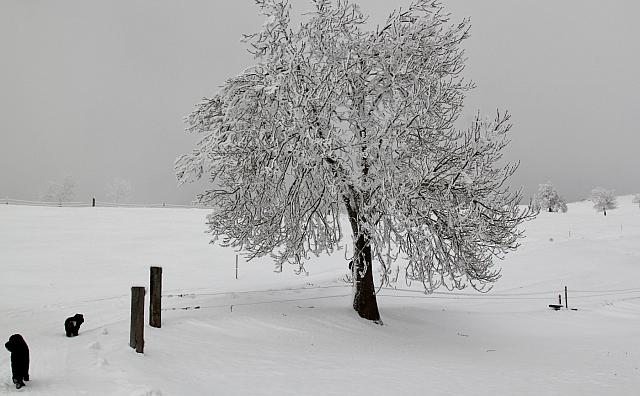 IMG 5157 (1800x1113)