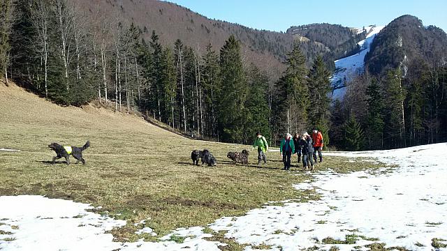 20170219 115750 resized