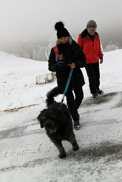IMG 7550 (2)