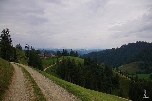 2019-09-01 10.59.38
