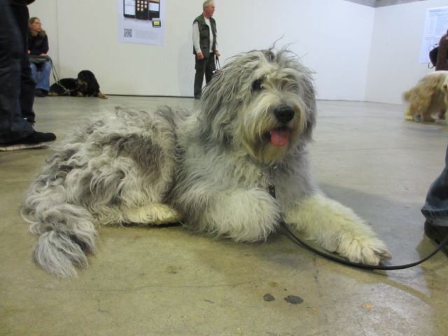 IMG 0641