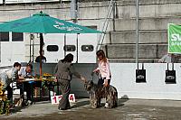 IMG 4857