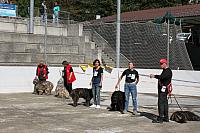 IMG 4891