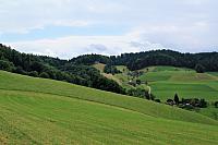IMG 6951