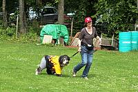 IMG 2996