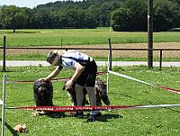 IMG 4154