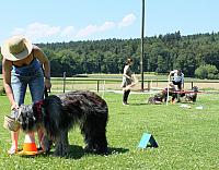 IMG 4156