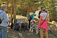 IMG 7818
