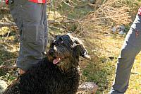 IMG 7819