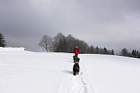 IMG 3683