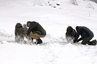IMG 4554