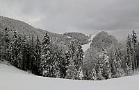IMG 5149 (1800x1167)