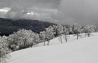 IMG 5153 (1800x1169)
