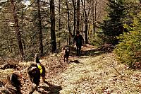 IMG 6789