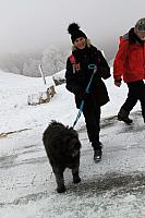 IMG 7551 (2)