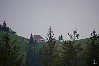 2019-09-01 10.54.03