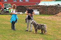 IMG 8486
