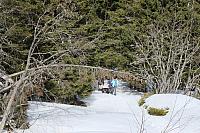 IMG 4585