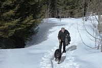 IMG 4586