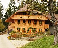 IMG 3561