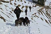 IMG 8676
