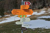 IMG 8679